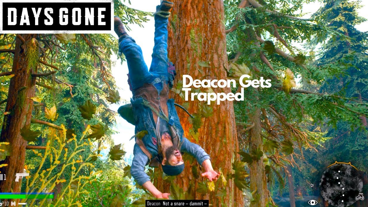 Deacon Gets Trapped By A Snare Captured DAYS GONE YouTube