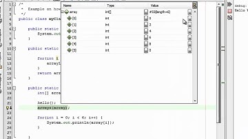 How to use the Netbeans Debugger
