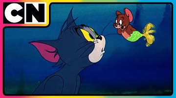 Tom & Jerry 😺🐭| Funniest Cat and Mouse Battle! 😺🐭| Compilation | Funny Cartoon Video | @cnindia