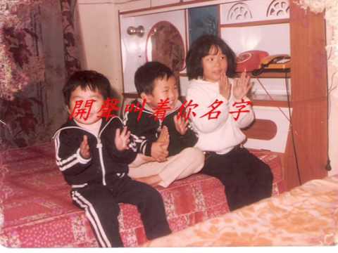 台灣在野之歌   反悔  蔡一紅 原唱  翻唱aho0501