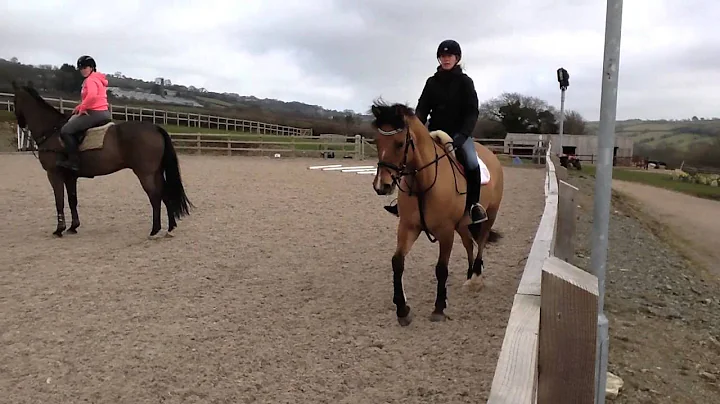 Torvick - Jumping - clinic with Caroline Booker
