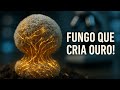 Mineração do Futuro: Como o Fungo Fusarium oxysporum Cria Ouro!