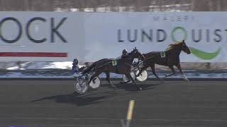 Vidéo de la course PMU PRIX ARTISTE DU BUT