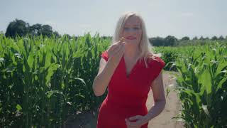 Financial Education Doesnt Have To Be A Maze Of Confusion Moneymagpie And Fscs.