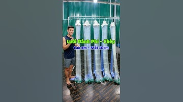 Lưới Đánh Cá Phi - Cá Chép. Cao 2m - Dài 90m - Mắt 10cm Sợi 15 #luoidanhcaatrung