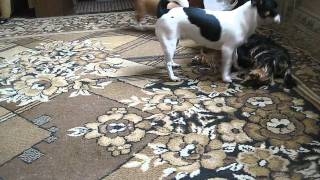 MVI_3360.avi