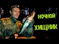 НОЧНАЯ РЫБАЛКА НА СУДАКА / ловля киевского судака ночью / судак на воблер / спиннинговая рыбалка