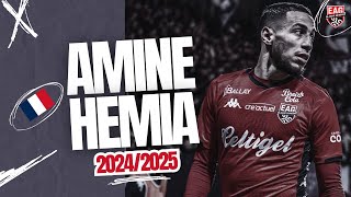 Amine Hemia The Heart Of Guingamp