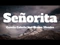 Señorita - Camila Cabello&Shawn Mendes (Lyrics)