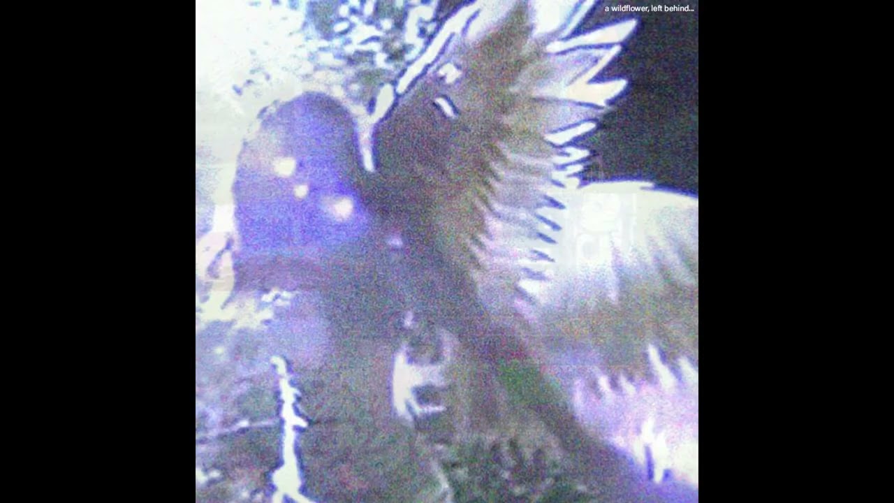 ✼ this surreal ep found you ✼