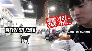 대만 벤치에 앉아 치킨을 먹고 있다가 개한테 위협 당했습니다.