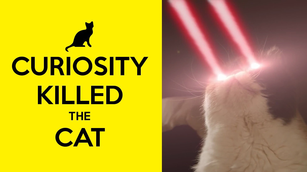 SUBURBIA "Curiosity Killed The Cat..." (unOfficial Music Video)