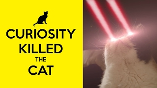 SUBURBIA Curiosity Killed The Cat... (unOfficial Music Video)