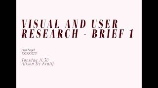 Visual and User Research Presentation