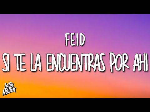 Feid - Si Te La Encuentras Por Ahí (Lyrics/Letra)