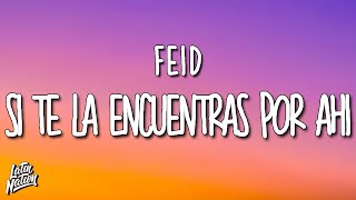 Feid - Si Te La Encuentras Por Ahí (Lyrics/Letra)