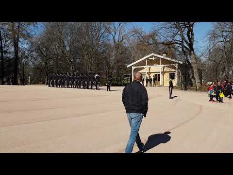 Видео: Посетите смену караула у дворца Осло в Норвегии