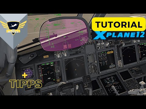 Zibo Mod B737-800
