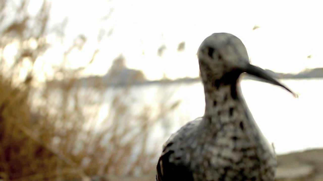 The Zen Circus - Atto Secondo (Busking Tour)