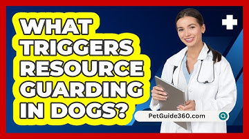 What Triggers Resource Guarding In Dogs? - PetGuide360.com