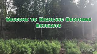 Tour of a cannabis farm