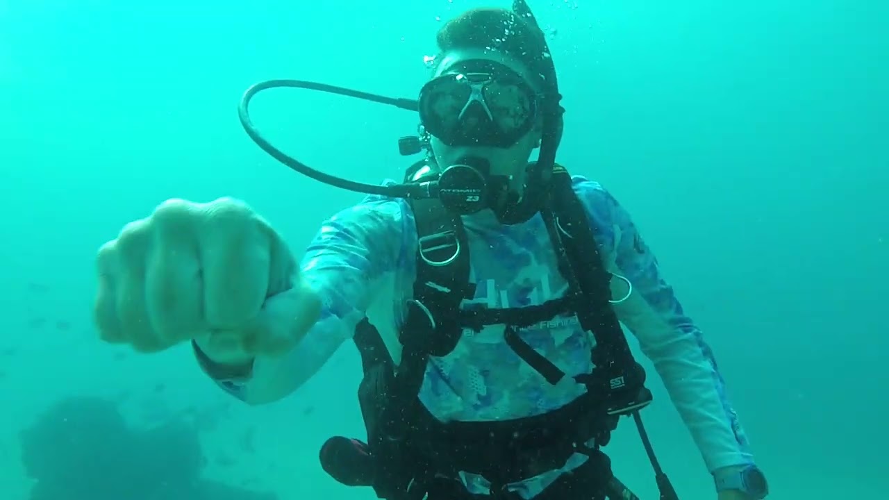 Neptune Memorial Reef