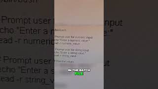 Creating Interactive Shell Script with User Input in Bash