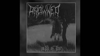 Drowned - Fallen Brother