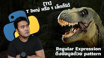 Regular Expression โปรภายใน 20 นาที! ด้วย Python!