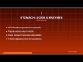 Crack NEET 2026 Digestive System | Complete Biology Guide