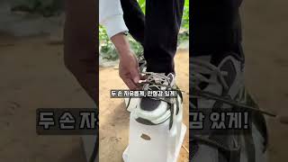농업 현장·가정 모두 OK! 다용도 플라스틱 발판 하나로 작업효율 UP🌱🛠️