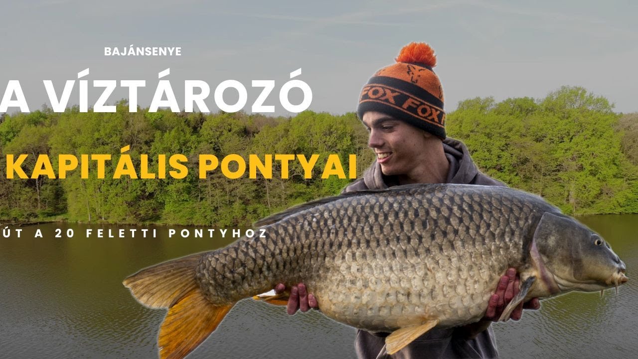 A VÍZTÁROZÓ Kapitális PONTYAI---Bajánsenye---