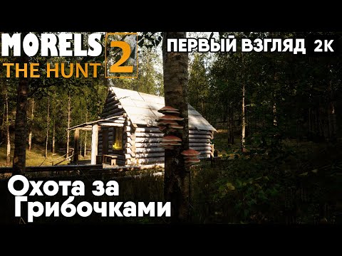 Видео: morels: the hunt 2  [2024] Первый взгляд Охота за Грибочками [ 2к 60ᶠᵖˢ] [rus]