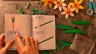 😴 ASMR - Let's Build the daffodils LEGO - Clicky Whispering & Lego clicking