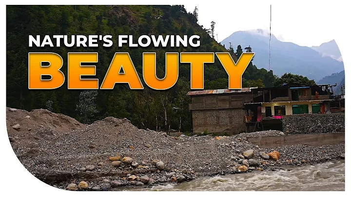 Tranquil Waters: A Scenic Journey of Flowing Streams