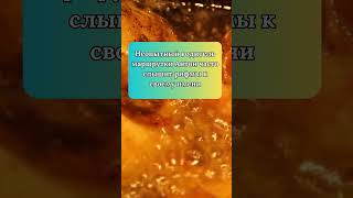 Смешной Анекдот! Неопытный Водитель Маршрутки! До Слёз! #юмор #анекдоты #Shorts