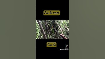 Đi săn chuột mùa nước nổi 2021