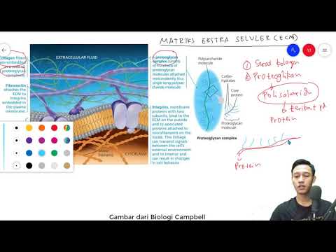 Video: Apakah matriks interstisial?