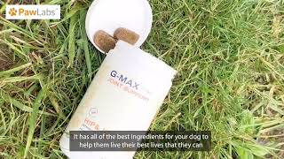 PawLabs™ - G-Max Joint Support for Dogs