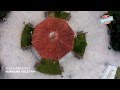 HUNUCMÁ DRONE VIDEO SHOT YUCATÁN