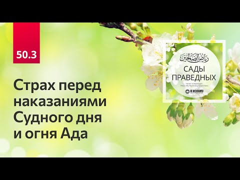 50.3 Сады праведных. Хадисы 397-401. Страх перед наказаниями Судного дня и огня Ада