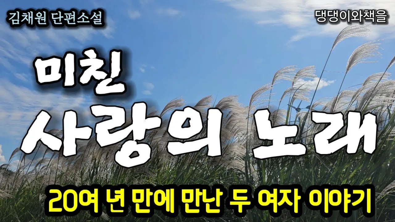김채원그녀 순미는 20여 년 만에 집으로 돌아왔다책읽어주는여자