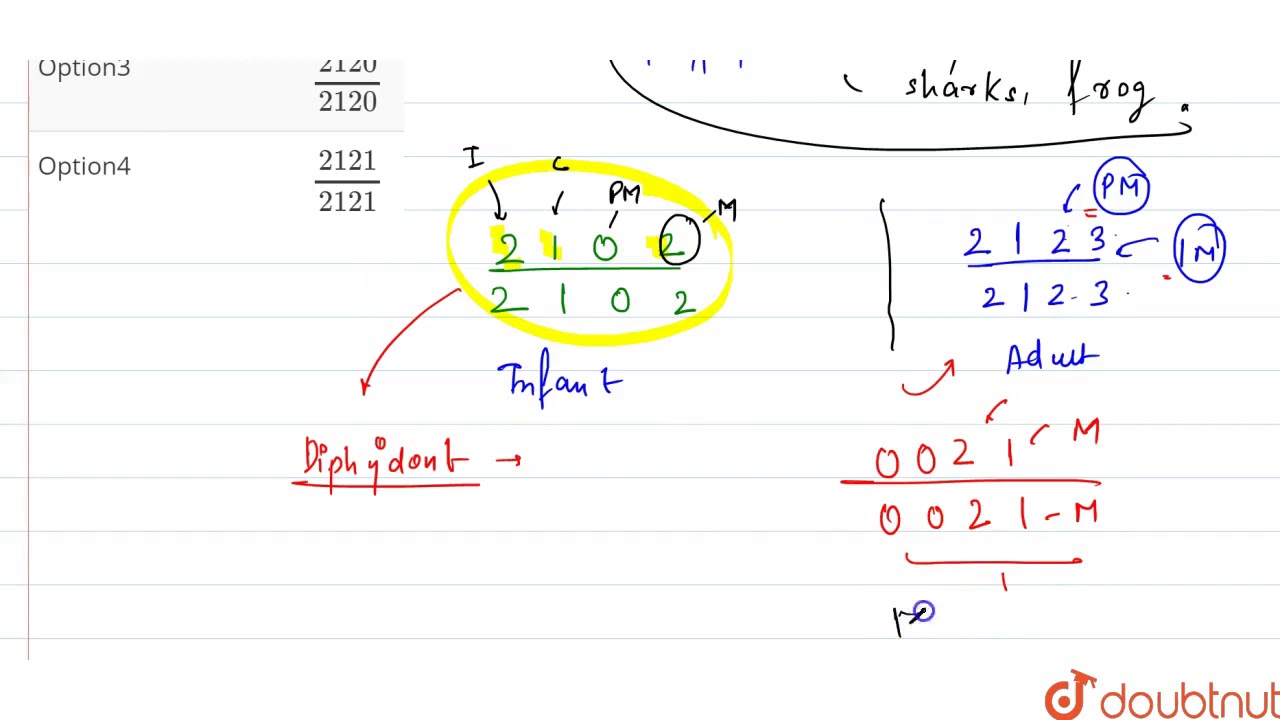 What Is The Dental Formula For Permanent Teeth Explained