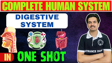 DIGESTIVE SYSTEM Complete in 1 Shot For CEE , Class 12 ! Physiology of Digestion 🔥In Details