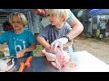 The Day we Butchered 100 Chickens