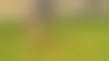 Picnic Lunch | Jumping Over Table #FAIL