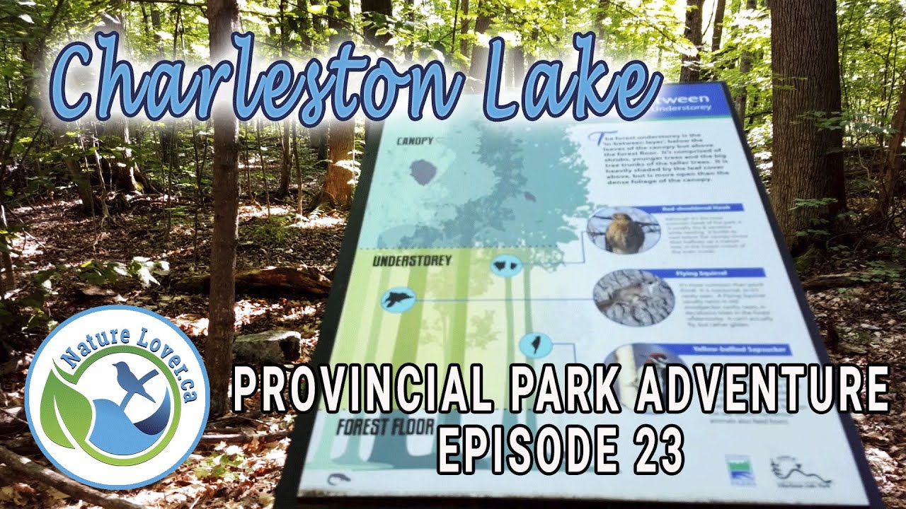 Provincial Park Adventure - The Sound of Cicadas - Beech Woods Trail - Charleston Lake - Ep 23