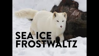 Music for winter | Sea Ice background music at Animal Planet's Living Worlds Exhibition screenshot 5