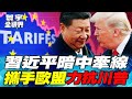 美國與歐盟的反制合作