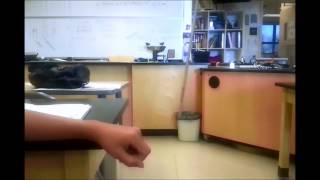 Reaction Time Experiment.